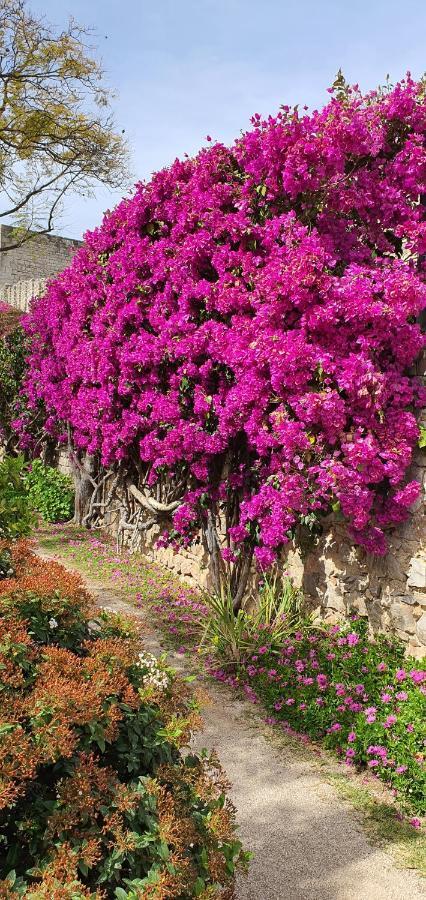 Cosy Tavira Holidays Exterior foto